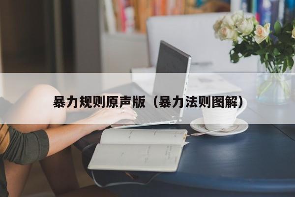暴力规则原声版（暴力法则图解）