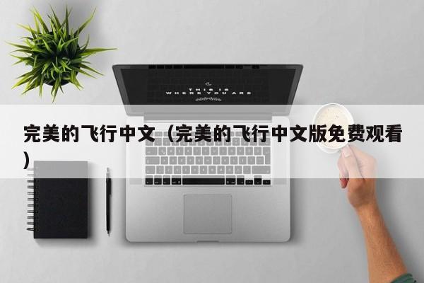 完美的飞行中文（完美的飞行中文版免费观看）