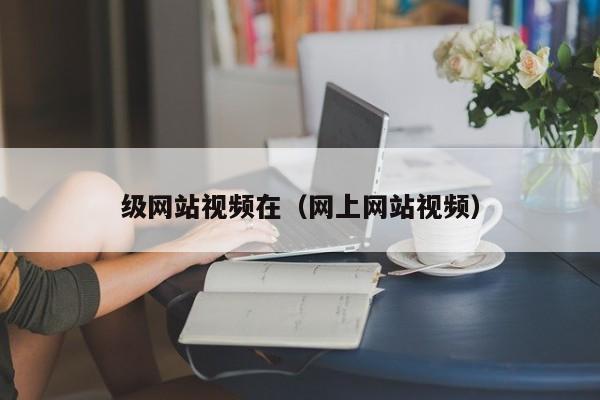 级网站视频在（网上网站视频）