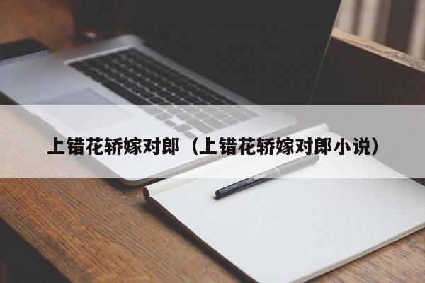 上错花轿嫁对郎（上错花轿嫁对郎小说）