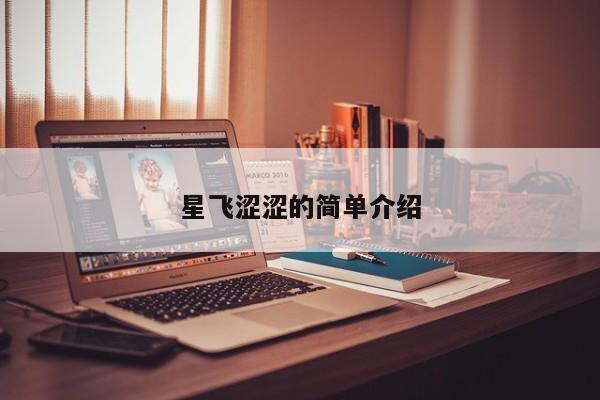 星飞涩涩的简单介绍